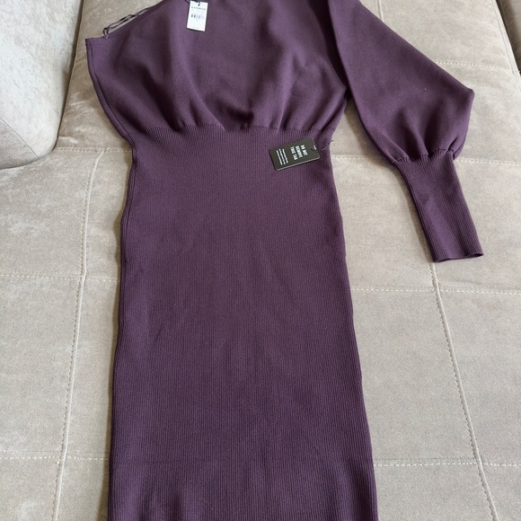 Express One-Shoulder Dress in Rich Plum - Picture 3 of 6